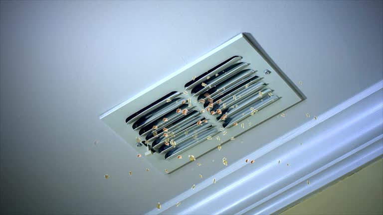Best HVAC System Cleaning  in Wesley Chapel, NC