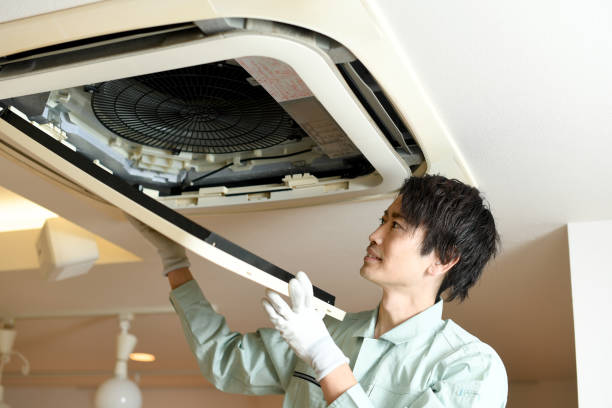 Best Air Duct Mold Removal  in Wesley Chapel, NC
